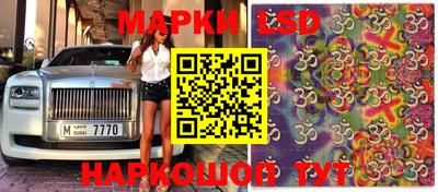 сатива Будённовск