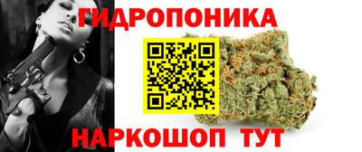 сатива Будённовск