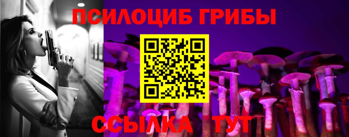 Медногорск  закладки  Галлюциногенные грибы MAGIC MUSHROOMS  Вход с VPN  Галлюциногенные грибы мицелий 