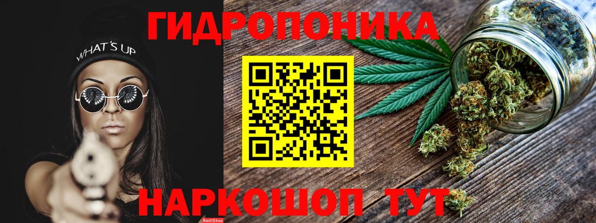 Канабис Amnesia  Бошки Шишки семена  Вход с VPN  Медногорск 